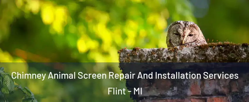 Chimney Animal Screen Repair And Installation Services Flint - MI