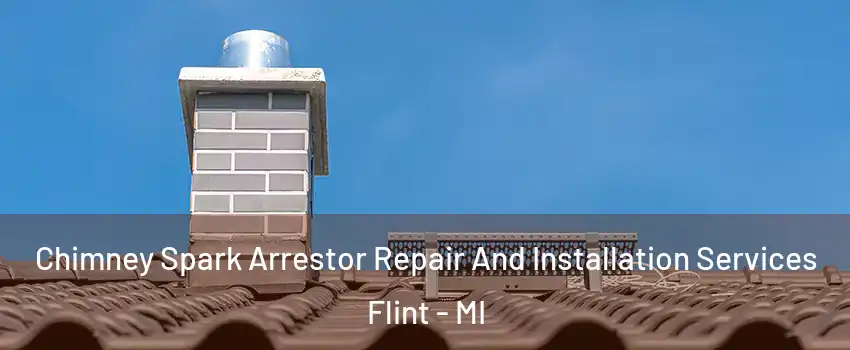 Chimney Spark Arrestor Repair And Installation Services Flint - MI