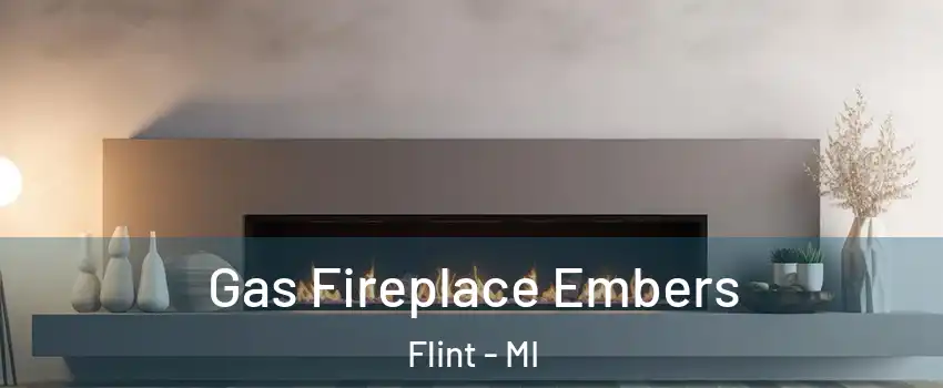 Gas Fireplace Embers Flint - MI