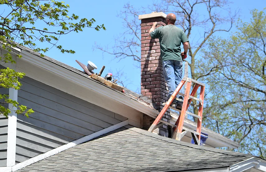 Chimney & Fireplace Inspections Services in Flint, MI
