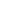 Professional Chimney Flue Installation in Flint, MichiGeorgian
