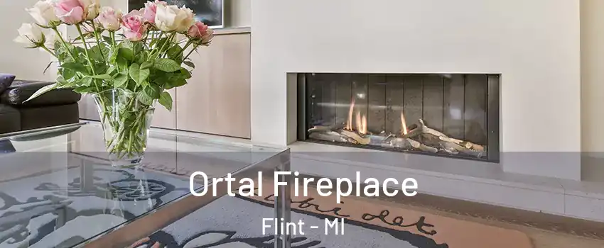 Ortal Fireplace Flint - MI