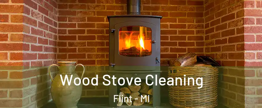 Wood Stove Cleaning Flint - MI